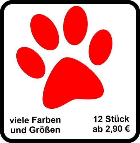 Hundepfoten pfoten hund - 12,