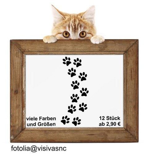 Katzenpfoten pfoten katze - 12,