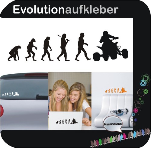 Quad evolution wandaufkleber - evolution,